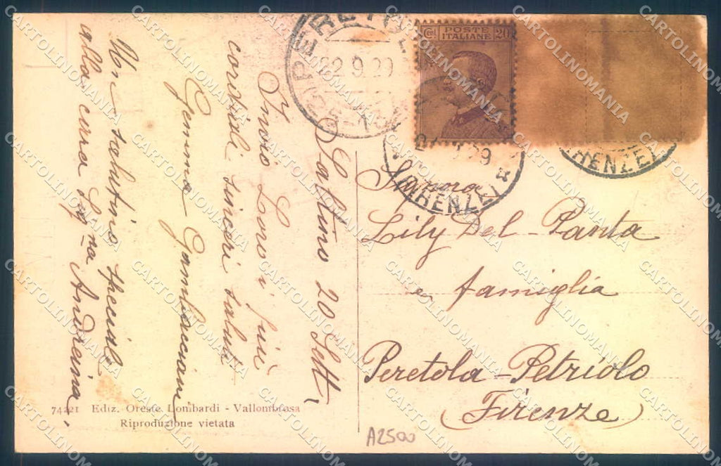 Firenze Vallombrosa Abetina cartolina JK0874 – retro