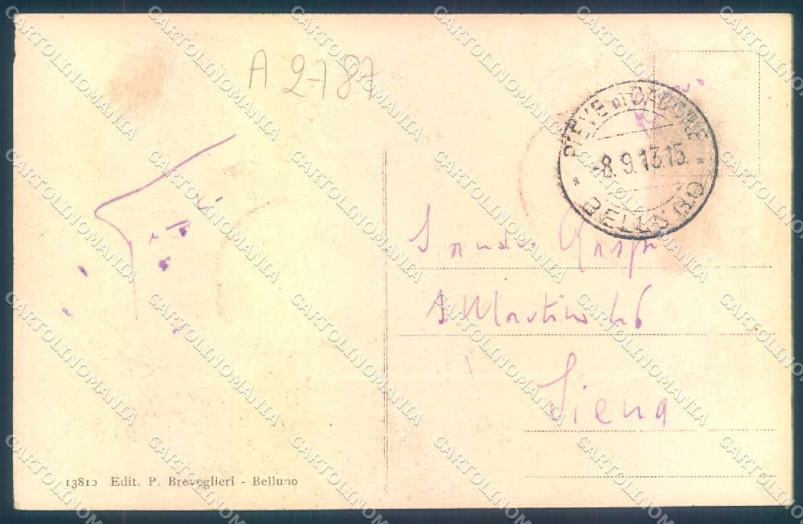 Belluno Pieve di Cadore Monumento Tiziano Breveglieri 13810 cartolina JK1005 – retro