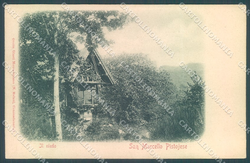 Pistoia San Marcello Pistoiese Nido cartolina JK1166 – fronte
