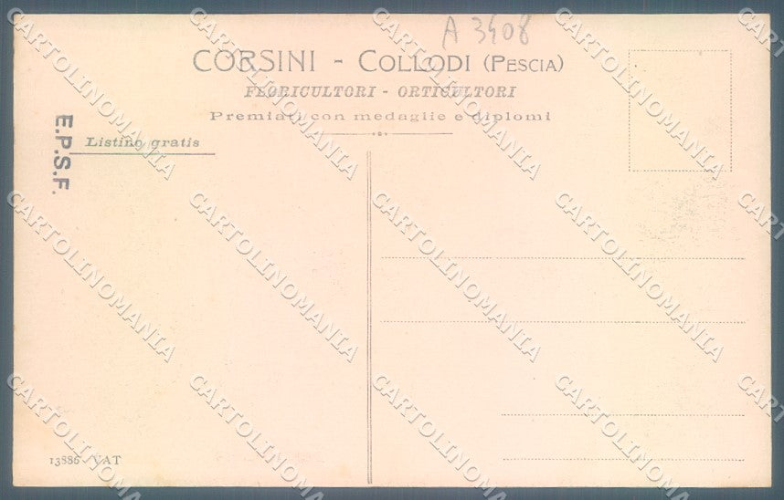 Pistoia Collodi Giardino Villa Garzoni Alterocca 13886 cartolina JK1261 – retro