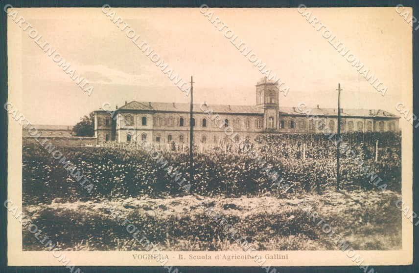 Pavia Voghera Scuola Agricoltura Gallini Modiano 21335 cartolina JK1387 – fronte