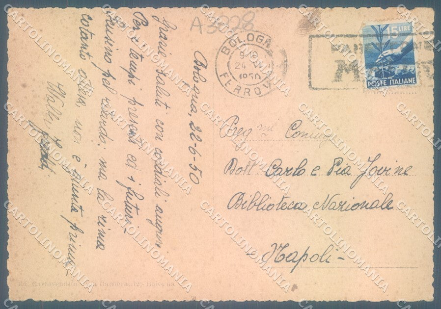 Bologna Città Viale Panzacchi PIEGA ANGOLO FG cartolina JK1417 – retro
