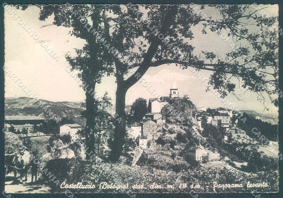 Bologna Castelluccio FG cartolina JK1420 – fronte