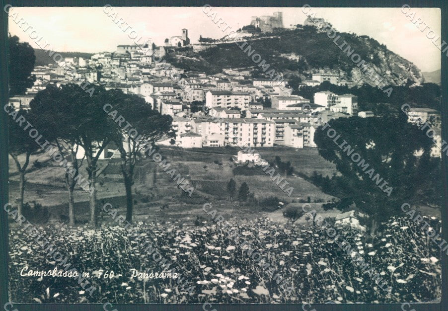 Campobasso Città Foto FG cartolina JK1506 – fronte