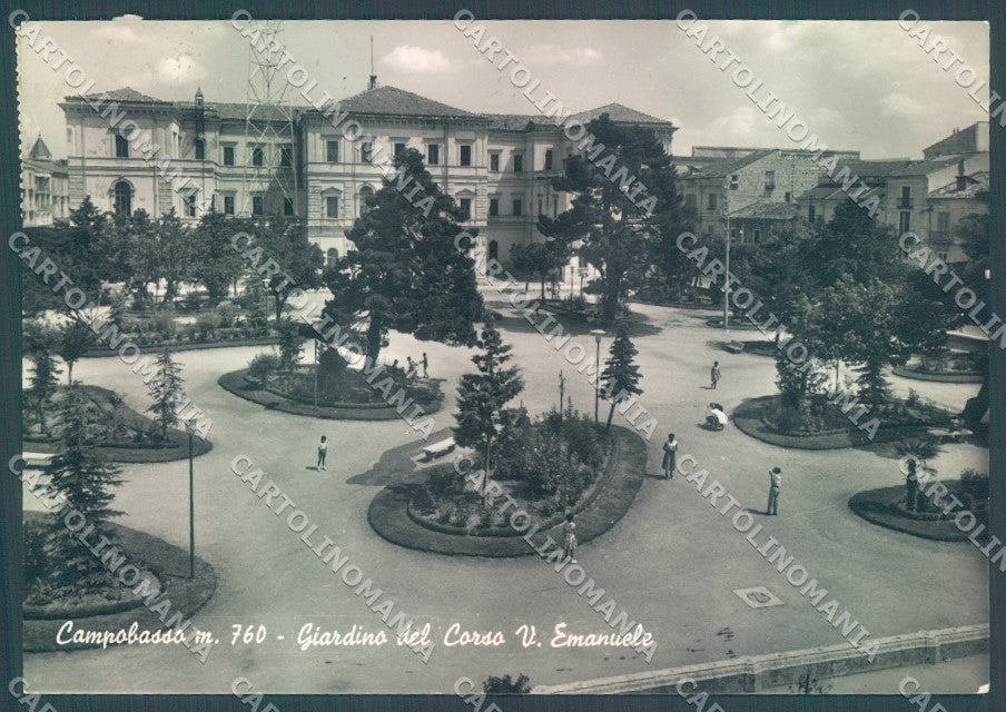Campobasso Città Giardino Corso Vittorio Emanuele Foto FG cartolina JK1507 – fronte
