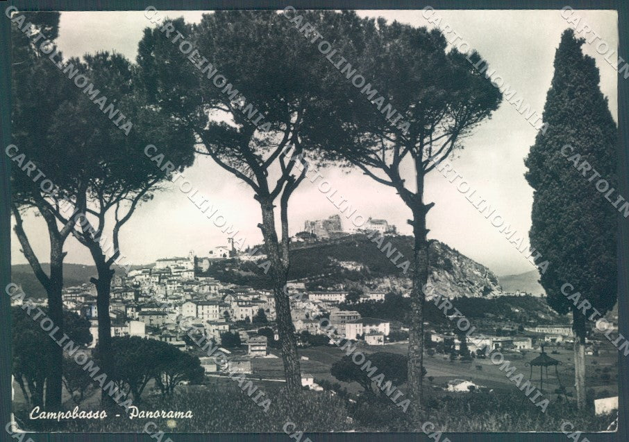 Campobasso Città Foto FG cartolina JK1508 – fronte