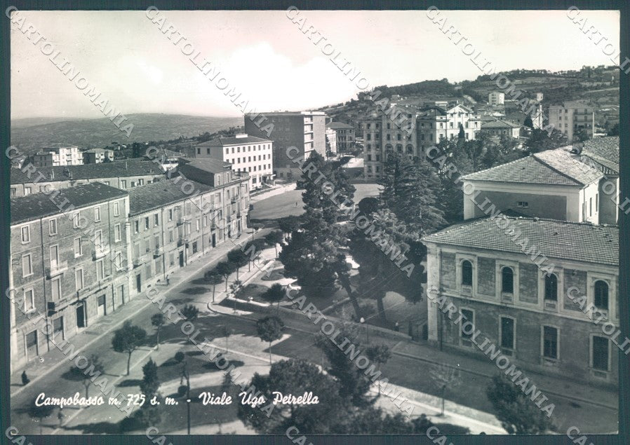 Campobasso Città Viale Ugo Petrella Foto FG cartolina JK1512 – fronte