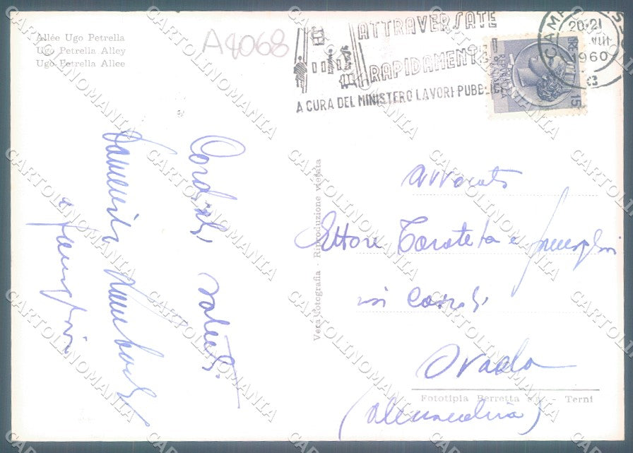 Campobasso Città Viale Ugo Petrella Foto FG cartolina JK1512 – retro