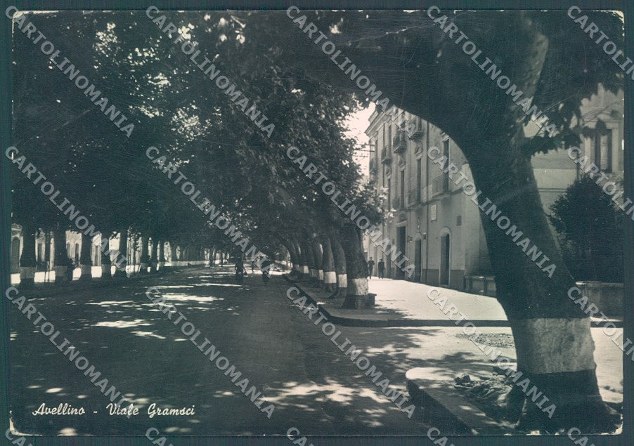 Avellino Città Viale Gramsci PIEGHINE Foto FG cartolina JK1519 – fronte