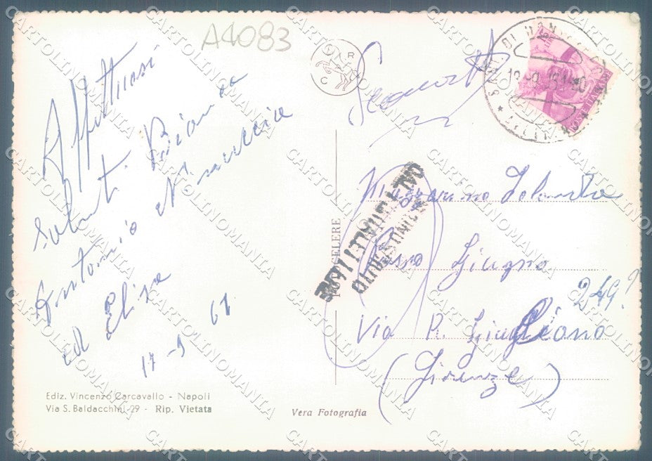 Avellino Città Santuario Montevergine Foto FG cartolina JK1520 – retro