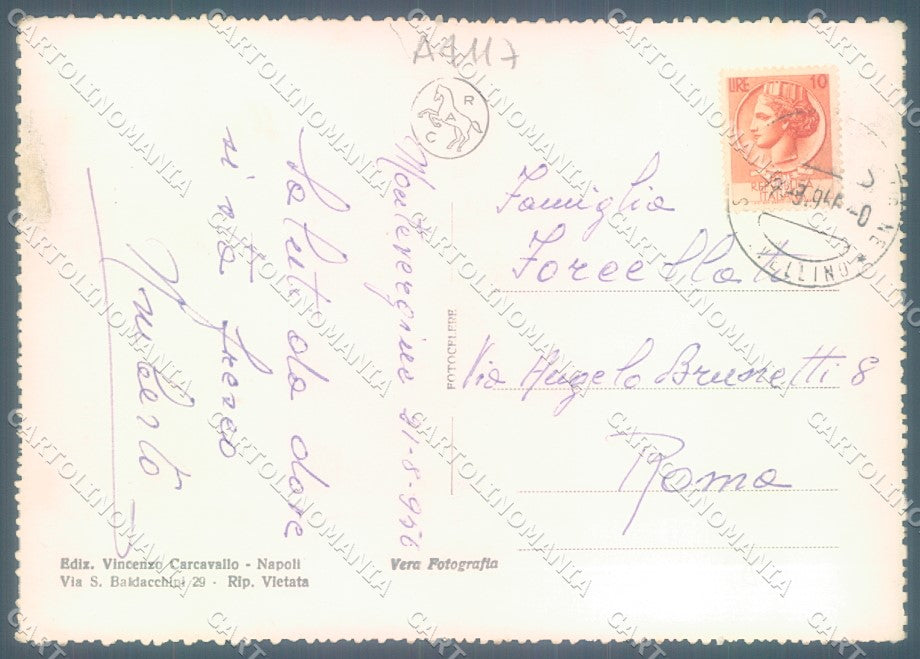 Avellino Montevergine Santuario Foto FG cartolina JK1531 – retro
