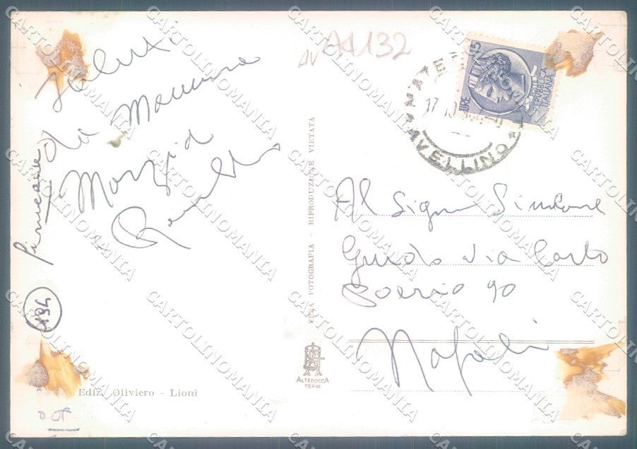 Avellino S. Gerardo Maiella Santuario Alterocca Foto FG cartolina JK1539 – retro