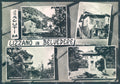 Bologna Lizzano in Belvedere saluti da Foto FG cartolina JK1551 – fronte