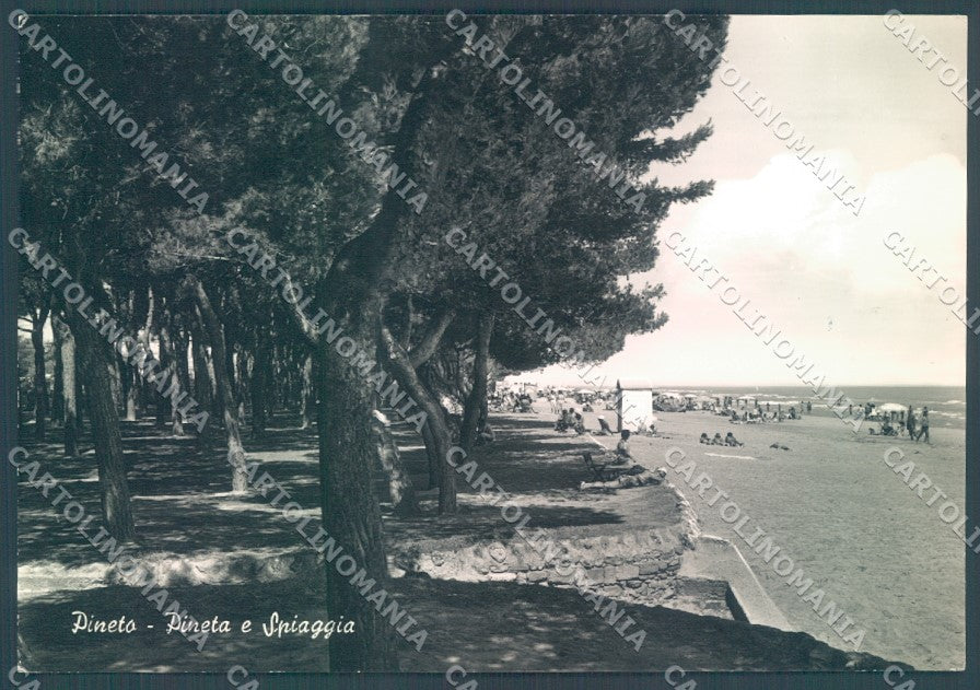 Teramo Pineto Spiaggia Pineta Foto FG cartolina JK1594 – fronte
