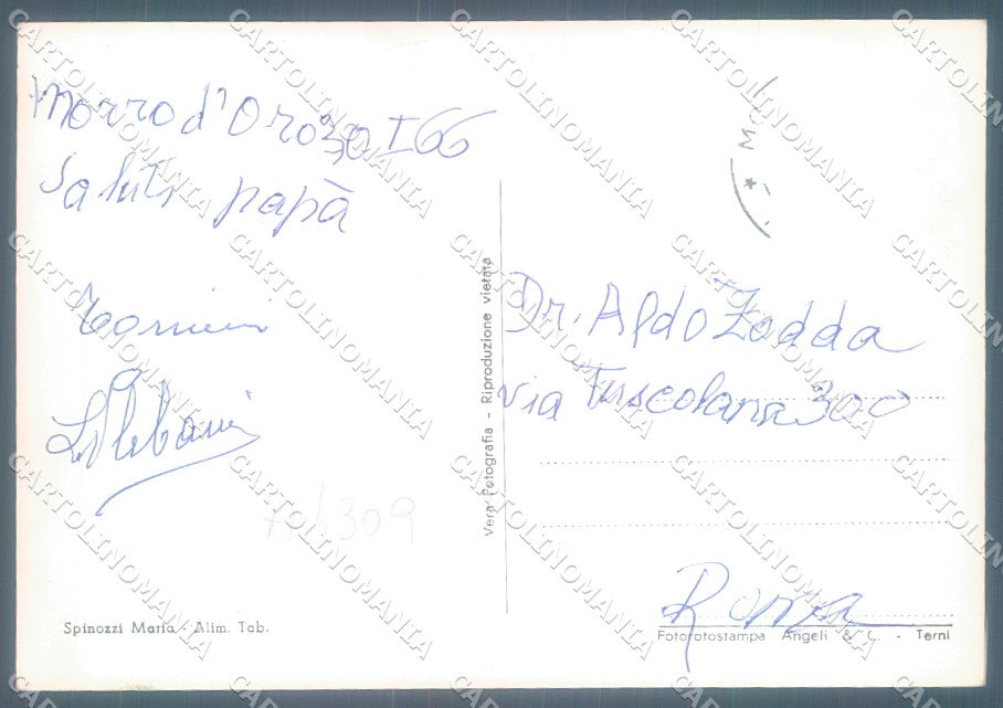 Teramo Morro d'Oro Chiesa San Salvatore Foto FG cartolina JK1596 – retro
