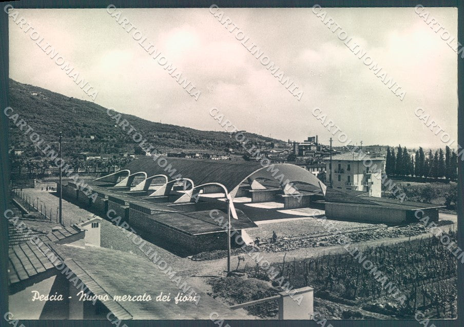 Pistoia Pescia Mercato Fiori Foto FG cartolina JK1633 – fronte