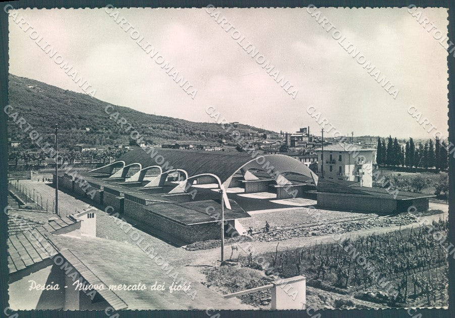 Pistoia Pescia Mercato Fiori Foto FG cartolina JK1637 – fronte