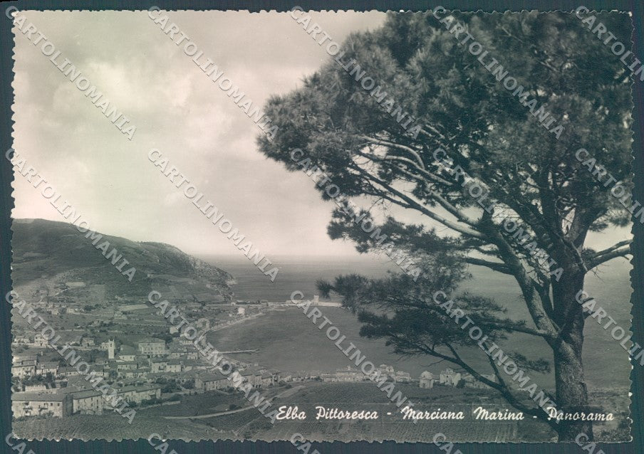 Livorno Isola d'Elba Marciana Marina Foto FG cartolina JK1726 – fronte