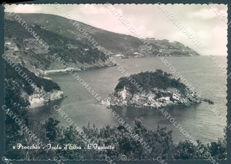 Livorno Isola d'Elba Procchio Foto FG cartolina JK1727 – fronte
