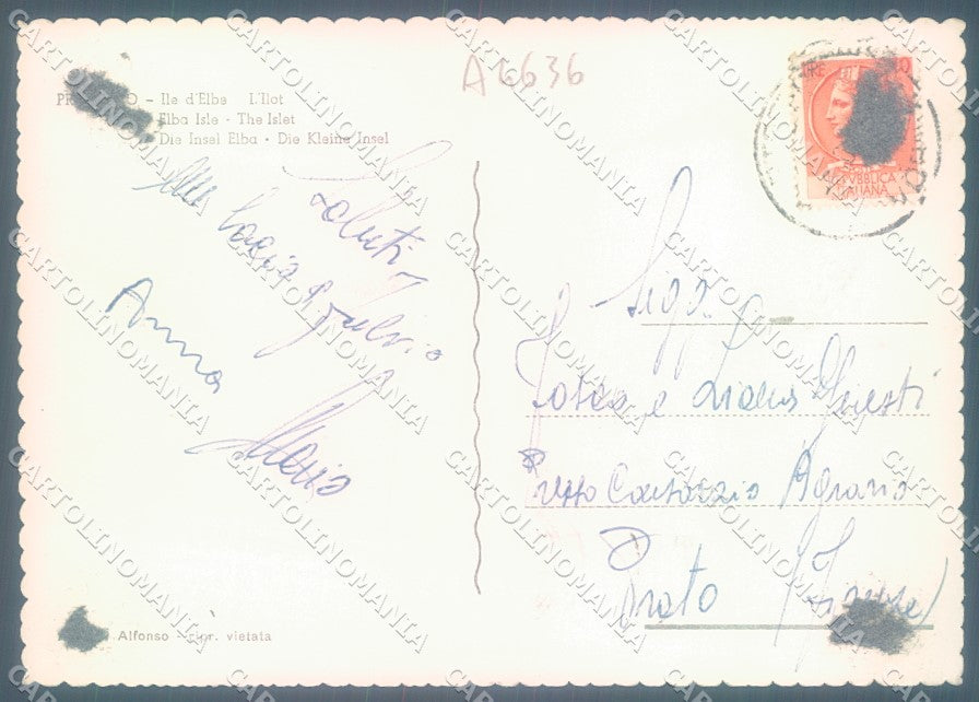 Livorno Isola d'Elba Procchio Foto FG cartolina JK1727 – retro