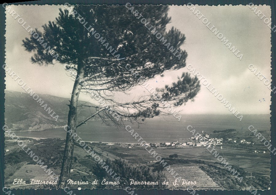 Livorno Isola d'Elba Marina di Campo Foto FG cartolina JK1728 – fronte