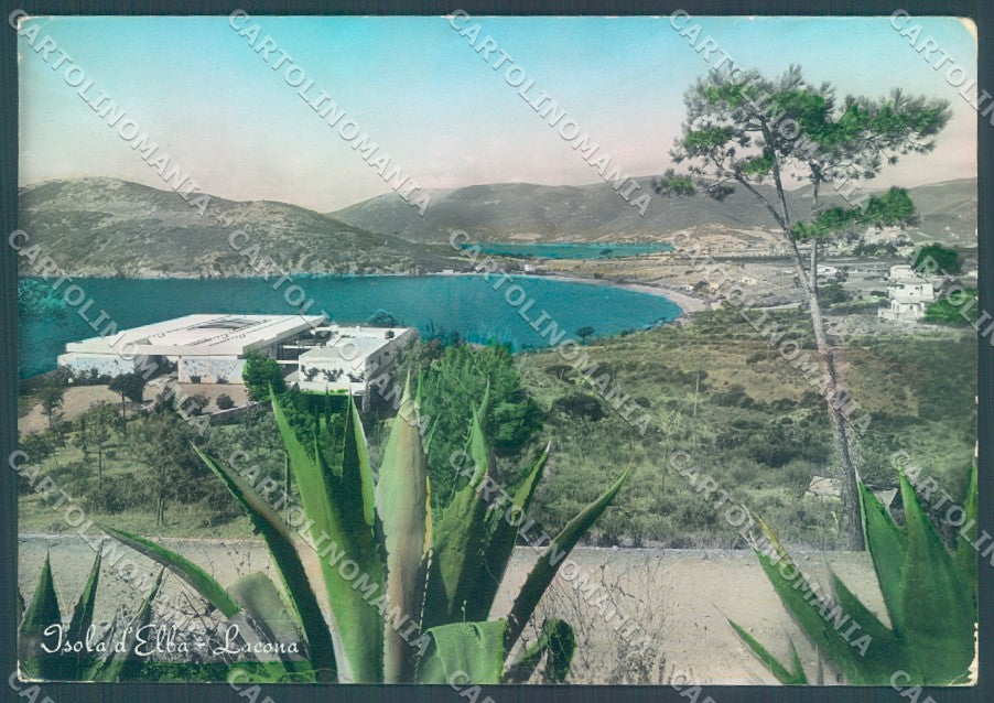 Livorno Isola d'Elba Lacona Foto FG cartolina JK1729 – fronte