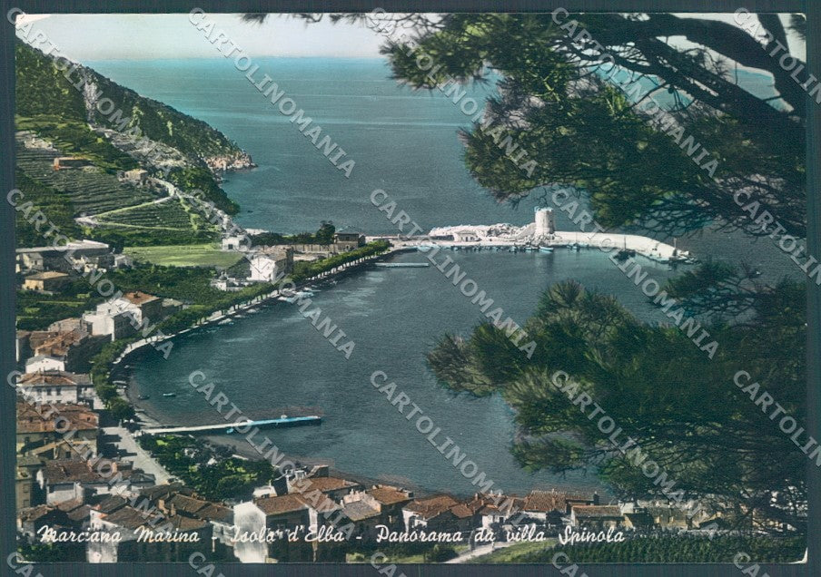 Livorno Isola d'Elba Marciana Marina Foto FG cartolina JK1732 – fronte