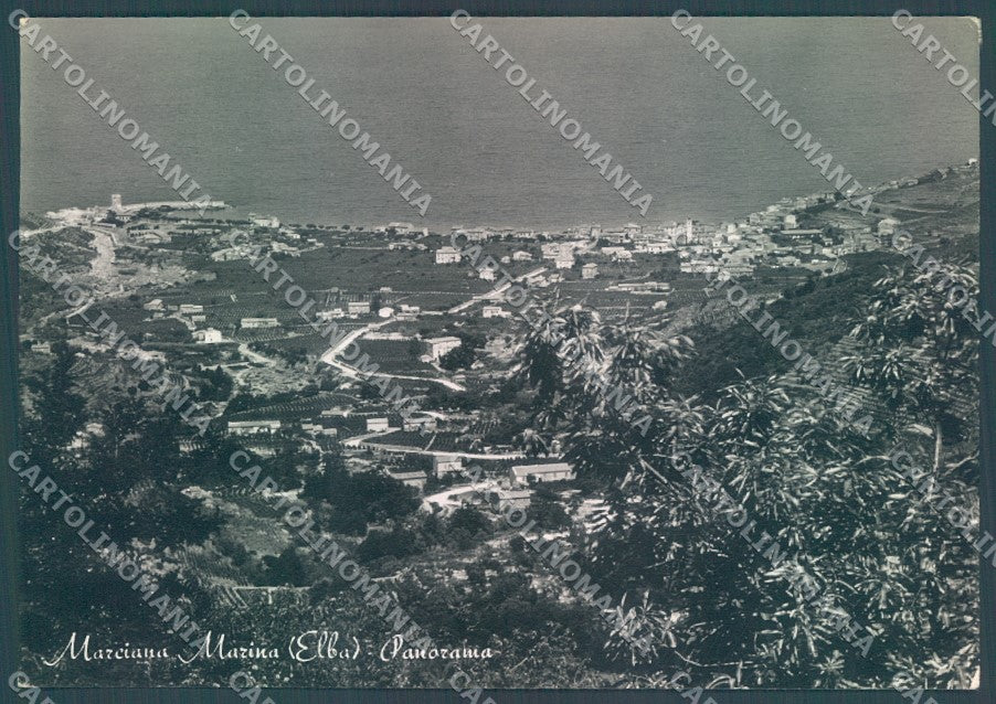 Livorno Isola d'Elba Marciana Marina Foto FG cartolina JK1733 – fronte