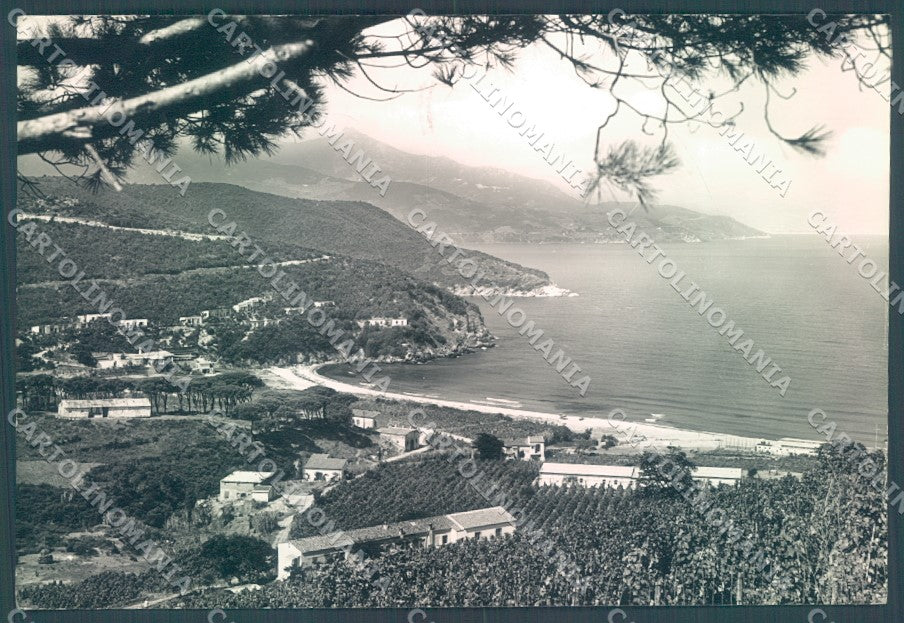 Livorno Isola d'Elba La Biodola Alterocca 66995 Foto FG cartolina JK1735 – fronte