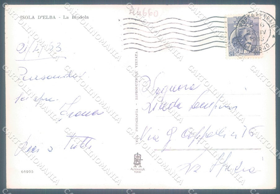 Livorno Isola d'Elba La Biodola Alterocca 66995 Foto FG cartolina JK1735 – retro