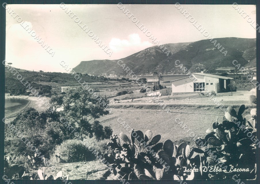 Livorno Isola d'Elba Lacona PIEGA Foto FG cartolina JK1742 – fronte