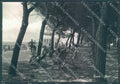 Teramo Pineto Oasi Foto FG cartolina JK1798 – fronte