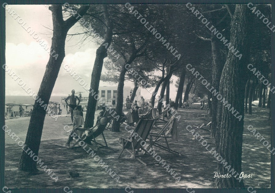 Teramo Pineto Oasi Foto FG cartolina JK1798 – fronte