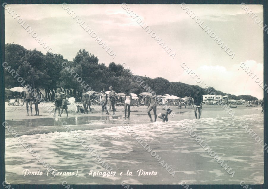 Teramo Pineto Spiaggia Pineta Foto FG cartolina JK1803 – fronte