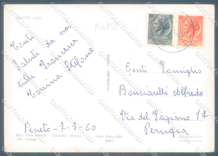 Teramo Pineto Oasi PIEGHE Foto FG cartolina JK1823 – retro