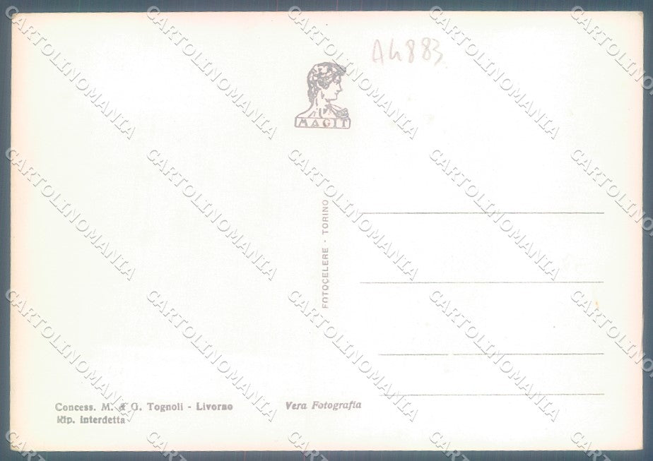 Livorno Isola d'Elba Foto FG cartolina JK1833 – retro