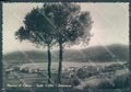 Livorno Isola d'Elba Marina di Campo Foto FG cartolina JK1835 – fronte