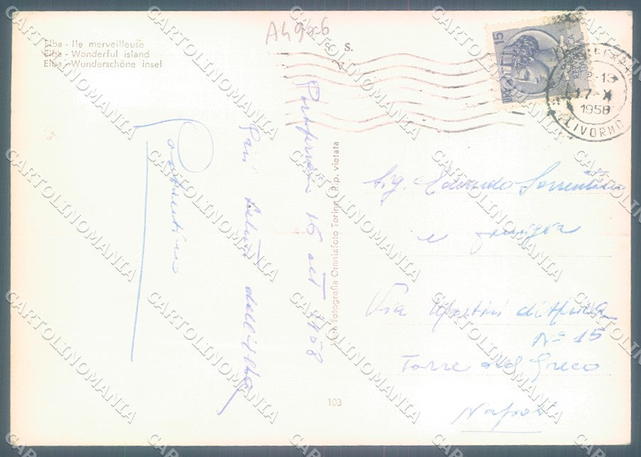 Livorno Isola d'Elba Foto FG cartolina JK1844 – retro