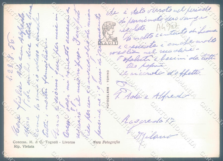 Livorno Isola d'Elba Foto FG cartolina JK1845 – retro