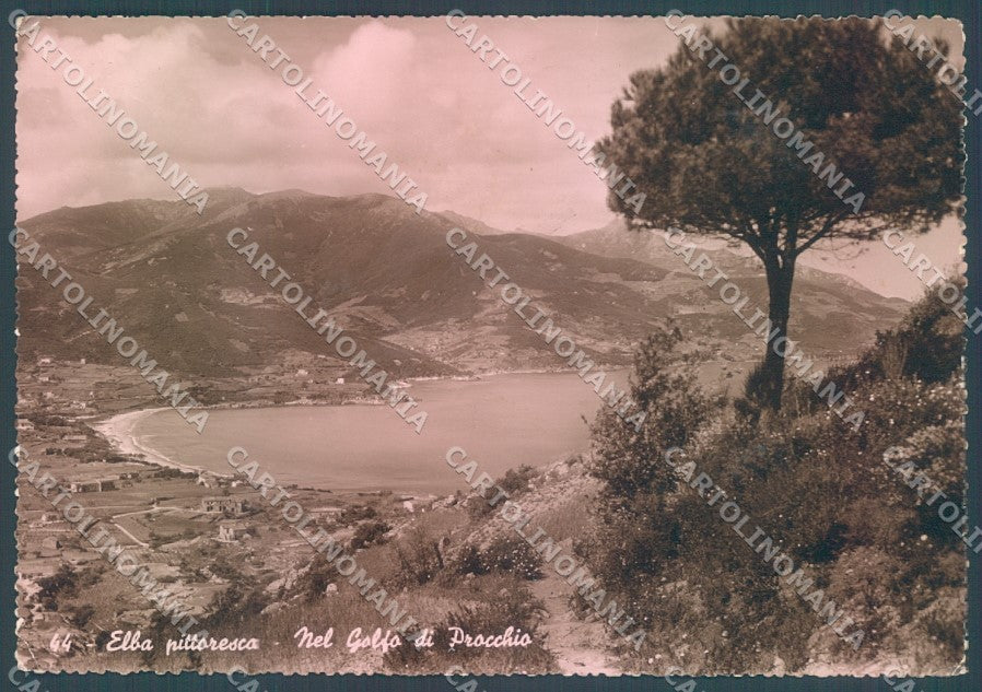 Livorno Elba Procchio Golfo Foto FG cartolina JK1849 – fronte