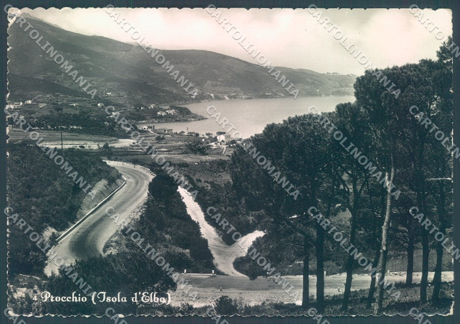 Livorno Elba Procchio STRAPPINO Foto FG cartolina JK1853 – fronte