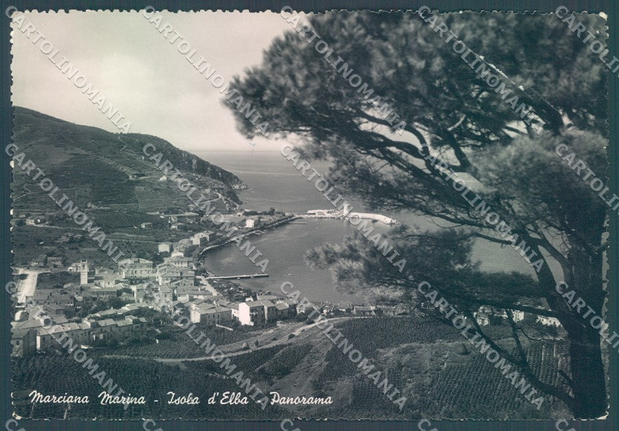 Livorno Elba Marciana Marina Foto FG cartolina JK1854 – fronte