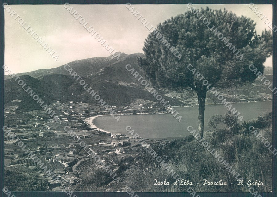 Livorno Elba Procchio Golfo Foto FG cartolina JK1855 – fronte