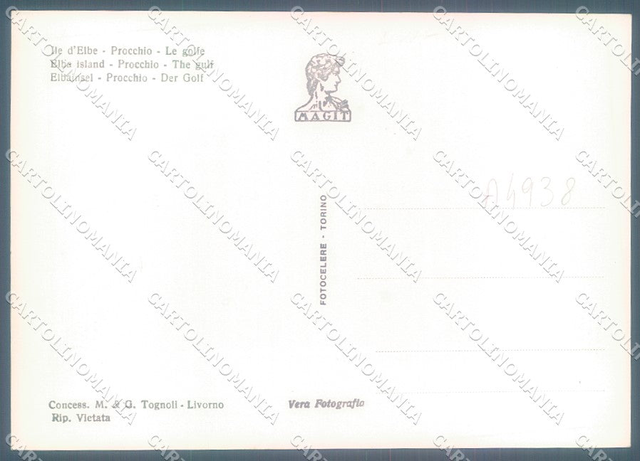 Livorno Elba Procchio Golfo Foto FG cartolina JK1855 – retro