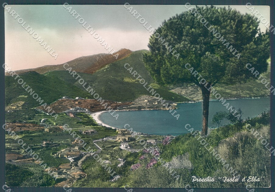 Livorno Elba Procchio Golfo Foto FG cartolina JK1856 – fronte