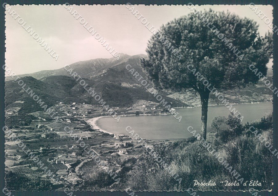 Livorno Elba Procchio Foto FG cartolina JK1860 – fronte