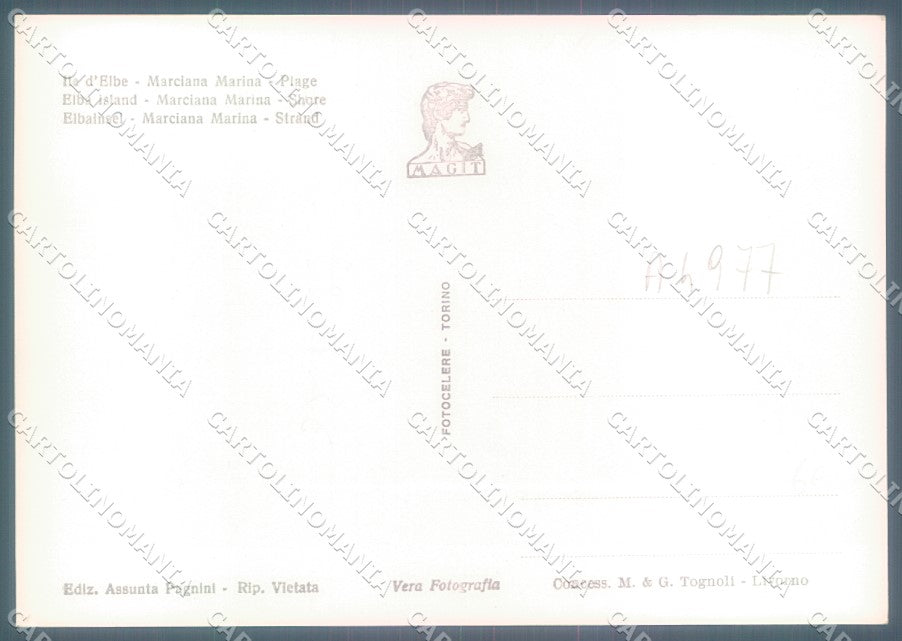 Livorno Elba Marciana Marina Foto FG cartolina JK1863 – retro