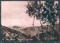 Livorno Isola d'Elba Foto FG cartolina JK1864 – fronte