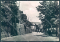 Terni Allerona Passeggiata Alterocca 64939 Foto FG cartolina JK1883 – fronte