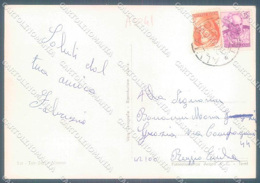 Terni Alviano Castello Medioevale saluti da PIEGHINE Foto FG cartolina JK1884 – retro